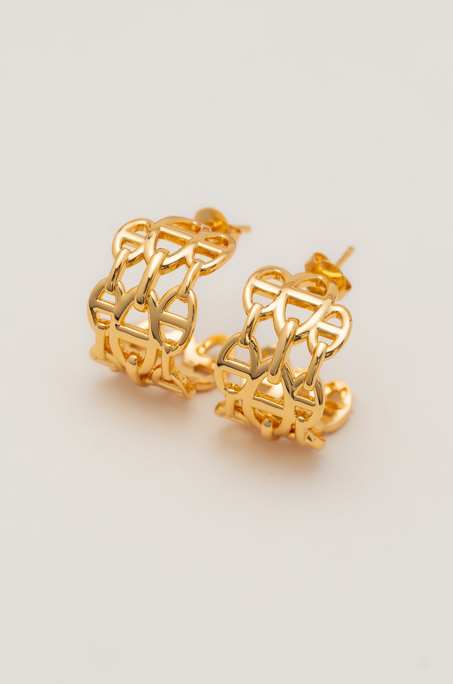 Golden Hues DIOT Earrings